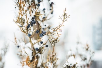 Unsplash ID HD_-GpSJqj8