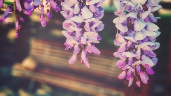 Unsplash ID Hd7KwtRqH4c