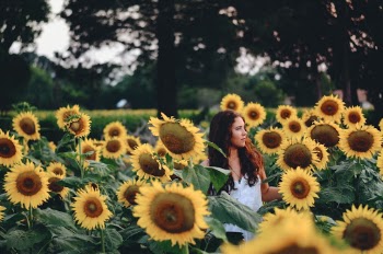 Unsplash ID HdCjBjxYyWk