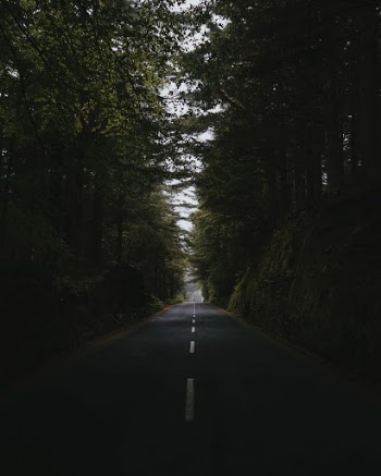 Unsplash ID HdpRetdoN1I