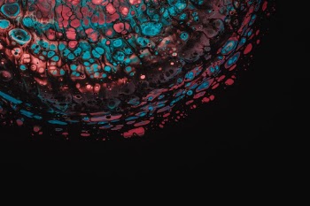 Unsplash ID HFIiAWrGABQ