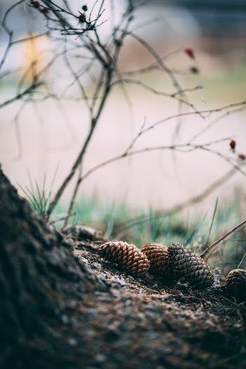 Unsplash ID HFRjaVSSzYQ