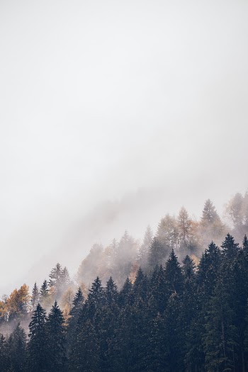Unsplash ID hHfZTOvuM28