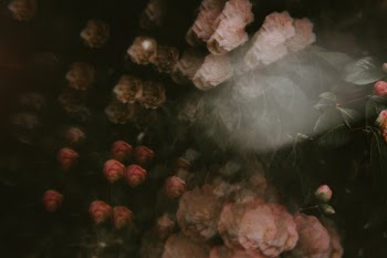 Unsplash ID hhurxze646o