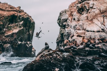 Unsplash ID hidopY7lc0I