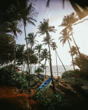 Unsplash ID hJWi9O35WJk