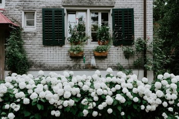 Unsplash ID hKrVx52PNT0