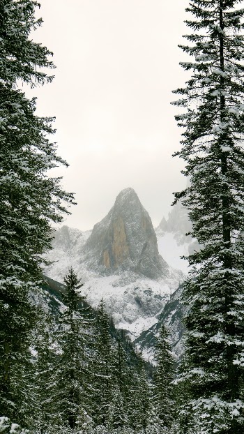 Unsplash ID HL2kVQN85sA