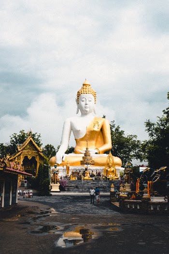 Unsplash ID hL8TKYAtbxU