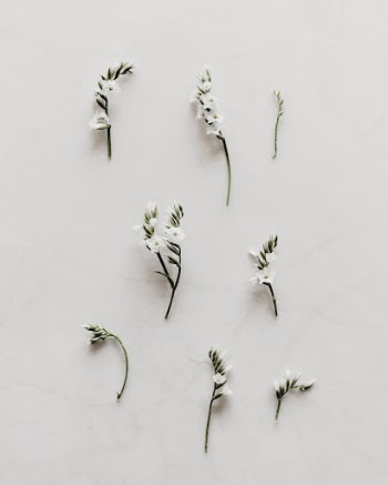 Unsplash ID Ho6QQfohuYA