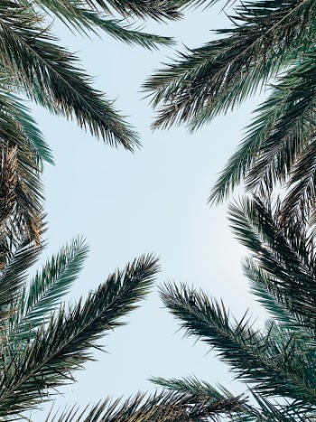Unsplash ID hPcrY_me2cI