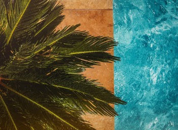 Unsplash ID Hpt9zq62QE8
