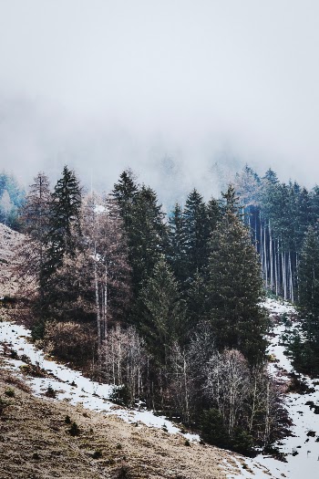Unsplash ID HQuBIkEWh6s