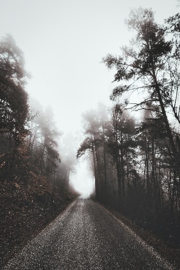 Unsplash ID hQZNGAUEphs