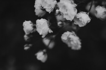 Unsplash ID hSqDoHuNqsU