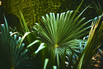 Unsplash ID HtLXG4M_vis