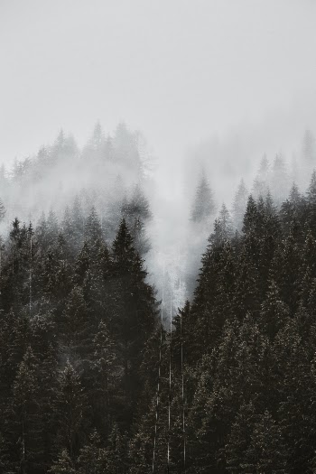 Unsplash ID HtpRxzbKHK0