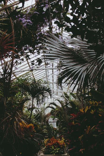 Unsplash ID HtYgpxu2q8Y
