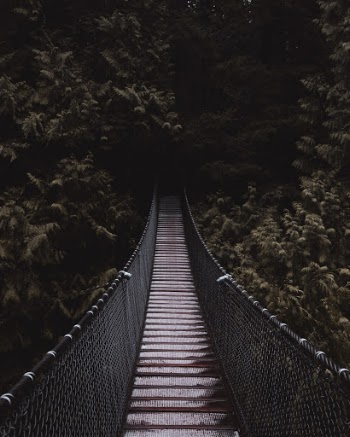 Unsplash ID hv19s8_Xo_o