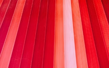 Unsplash ID HWvl3soFWxU