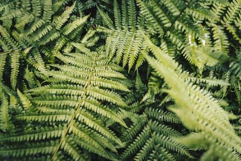 Unsplash ID hxkzvihbS_c