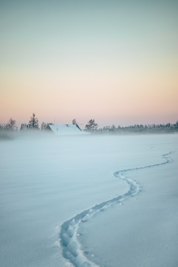 Unsplash ID HxmmHVhJ2mA