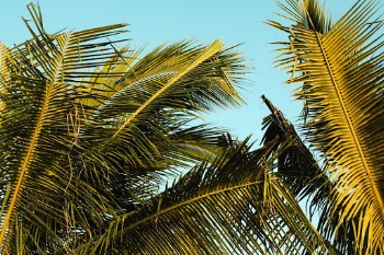 Unsplash ID hxwFW3-fS8c