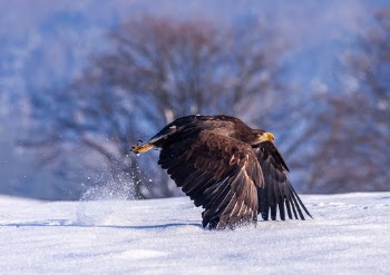 Unsplash ID hxXtAZXqGWs