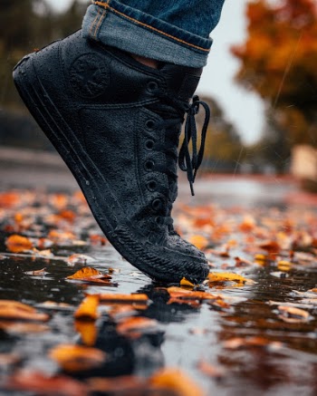 Unsplash ID hxyC8WDcUJY