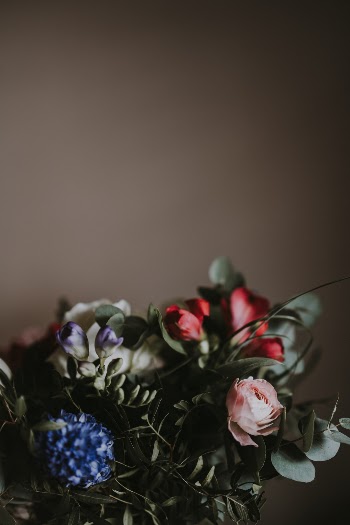 Unsplash ID HzNNbeGmJko