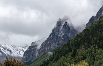 Unsplash ID I_xZkkpGNew