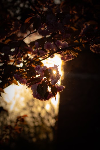 Unsplash ID I0t5kmqiVnA