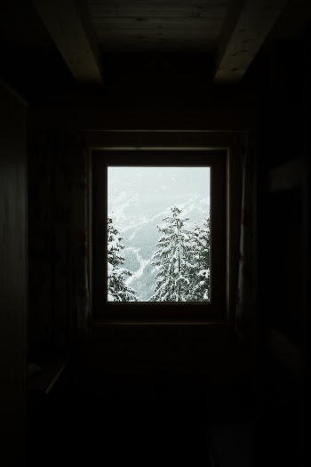Unsplash ID I0tIsvpVtmE