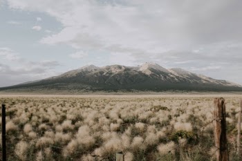 Unsplash ID I1qykSwOQaE