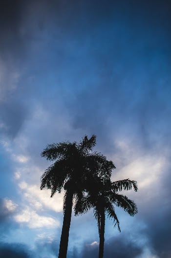 Unsplash ID i4IGqr0z-ks
