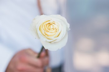 Unsplash ID i4Tv0A_n4EQ