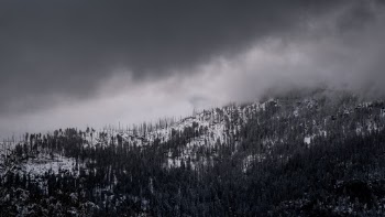 Unsplash ID i80oczfsUL0