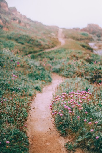 Unsplash ID I8t2fP01wgo