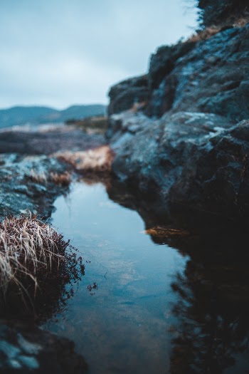 Unsplash ID IabqYV8kOOM