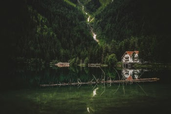 Unsplash ID IAk2K1qUA8Q
