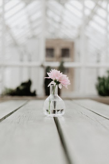 Unsplash ID IDSTN6oby0c