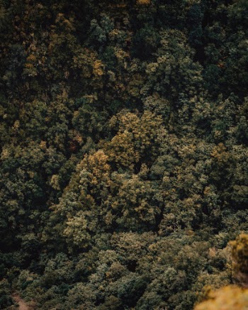 Unsplash ID iE2UNgYQ42g