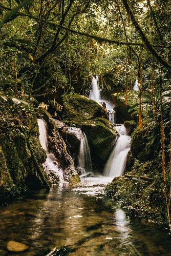 Unsplash ID IehbKaWlDiI