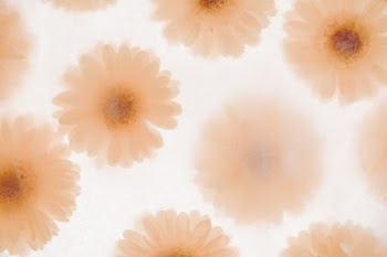 Unsplash ID If3kkf1aWII