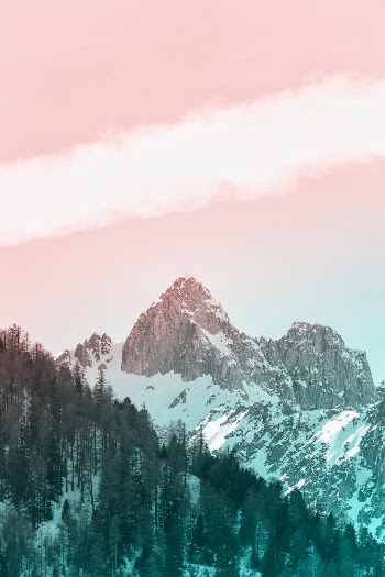 Unsplash ID IfAOLvOI0Oo