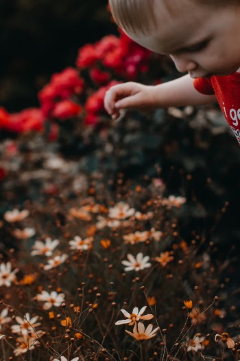 Unsplash ID ifqSz4wU-uM