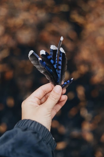 Unsplash ID _igiFwG7Ybw