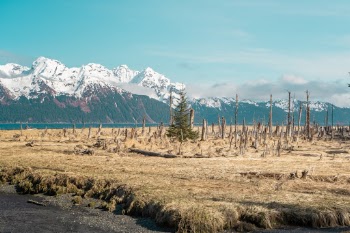 Unsplash ID iGRIDFNUY94