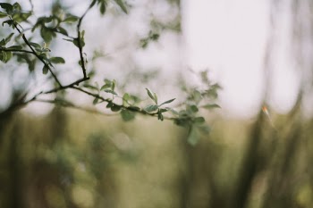 Unsplash ID ih9POH5ezWc