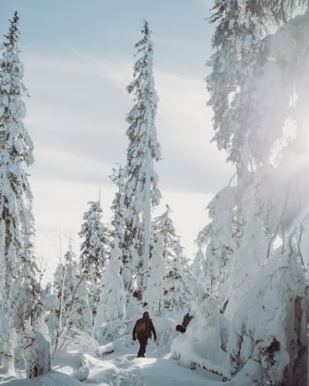 Unsplash ID IK1VKOkCQzs